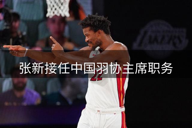 张新接任中国羽协主席职务